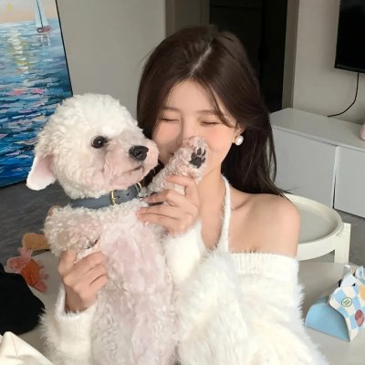 老妇与鸽子